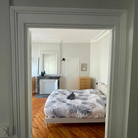 Le Balcon Saint-amand - 458 شقة *